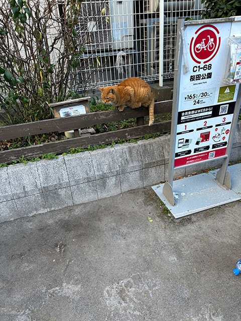 東京都港区にて