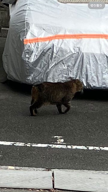 東京都練馬区にて