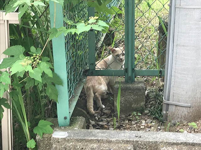 群馬県太田市にて