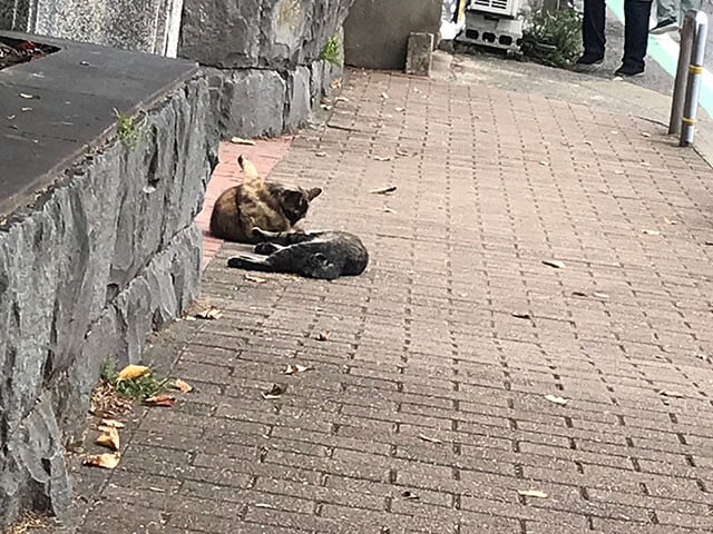 長崎県長崎市にて