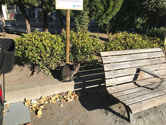 東京都江東区にて