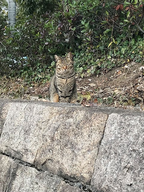 京都府京都市にて