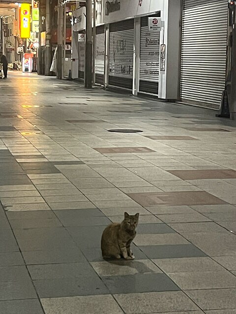 大阪府大阪市にて