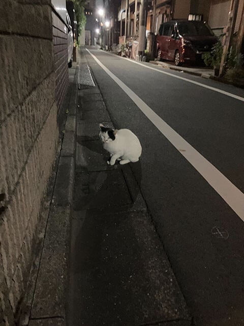 東京都江戸川区にて