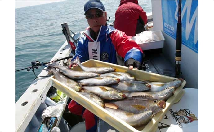 「脂ノリ抜群！」大山沖イサキ釣りで良型主体に数釣りチャンス【船釣り釣果速報・愛知】