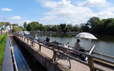 今週のヘラブナ推薦釣り場2025【東京&埼玉・水元小合内溜】