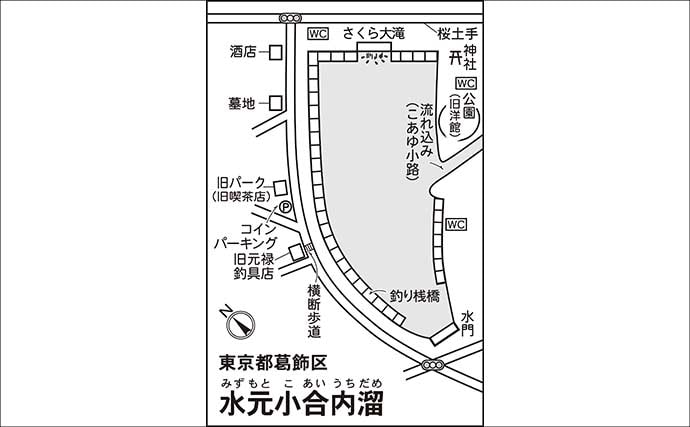 今週のヘラブナ推薦釣り場2025【東京&埼玉・水元小合内溜】
