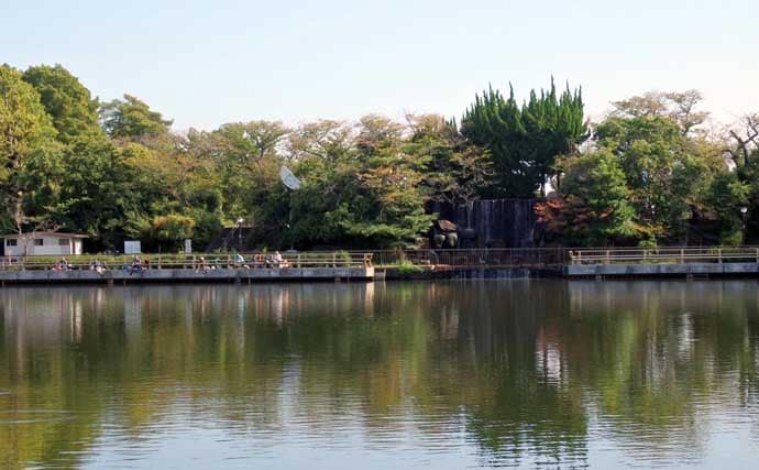 今週のヘラブナ推薦釣り場2025【東京&埼玉・水元小合内溜】