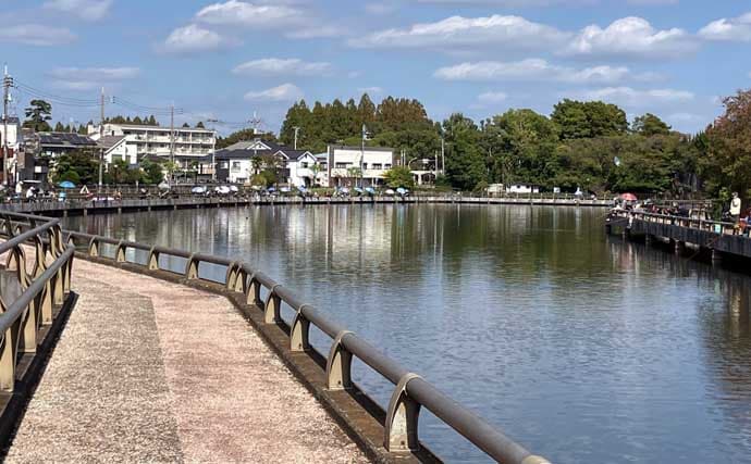 今週のヘラブナ推薦釣り場2025【東京&埼玉・水元小合内溜】
