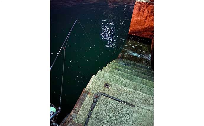 チニングに向いている釣り場はどこ？　重点的に狙うべきポイントも解説