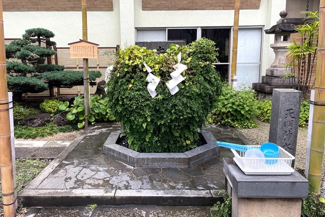 「天明神水」