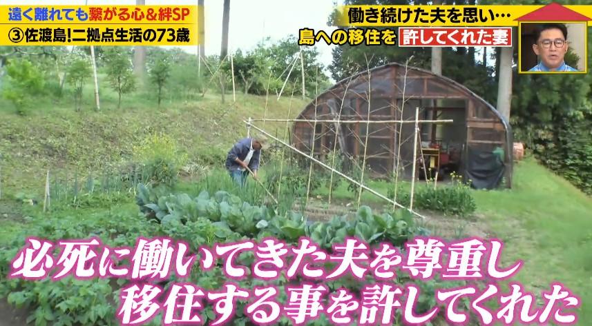 記事画像