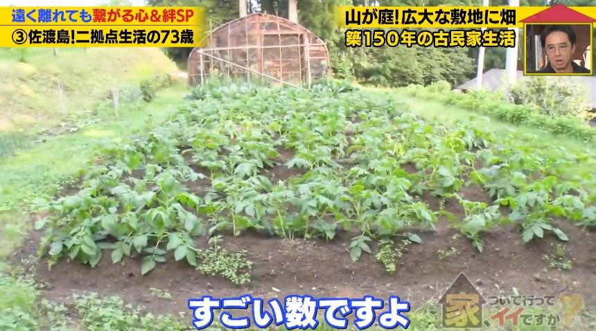 記事画像