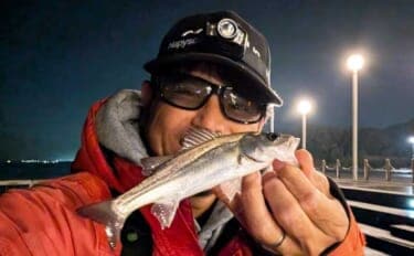 電気ウキ釣りでセイゴ7匹を手中【愛知県・ボードウォーク】ウキ下調整とハリ選びが釣果のカギ