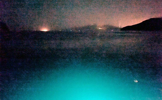 「集魚灯って効果あるの？」 堤防ヤリイカエギングで本命＆コウイカ手中【京都】