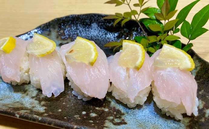 響灘のスロージギングで良型アコウ＆ボッコ手中【山口】軽めジグのフォールが連発のカギに