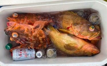 響灘のスロージギングで良型アコウ＆ボッコ手中【山口】軽めジグのフォールが連発のカギに