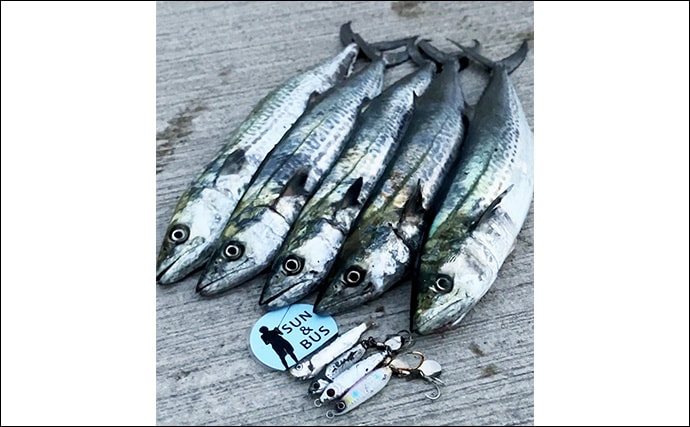 「秋の青物シーズンが本番突入!」大阪南港魚つり園でのショアジギングでサゴシ連発!