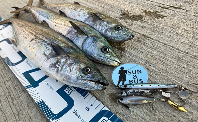 「秋の青物シーズンが本番突入!」大阪南港魚つり園でのショアジギングでサゴシ連発!