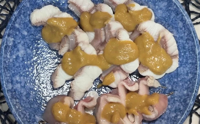 陸に揚げても7日間生きるという『ナヌカザメ』を食べてみた　味はまるでスルメイカ？