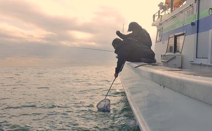 シーズン初期の伊勢湾でコウイカ釣り好調【愛知・南知多】3連続ヒット含め6匹キャッチ