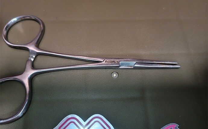 「針のカエシは釣りには不要！」 バーブレスフックの圧倒的なメリットとは？