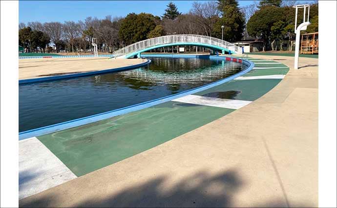 「しらこばと水上公園」でのプールフィッシングでニジマス12匹　重めのフライが的中