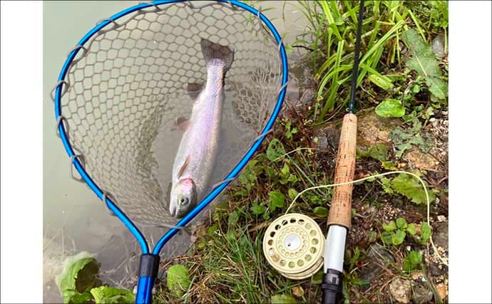 難関管理釣り場をフライフィッシングで攻略！『鹿島槍ガーデン』で55cm筆頭に良型トラウト30尾