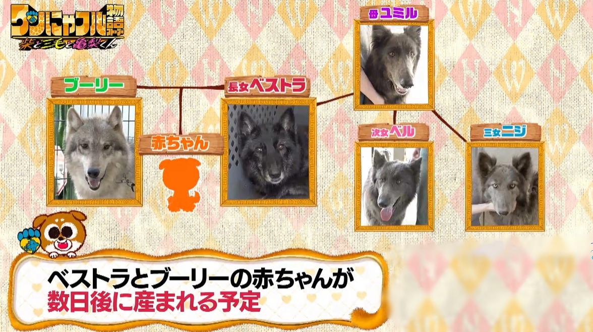 記事画像