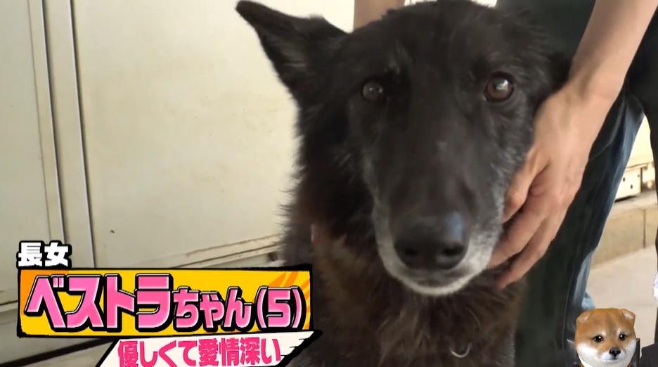 記事画像