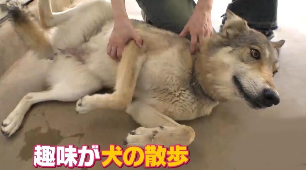 記事画像