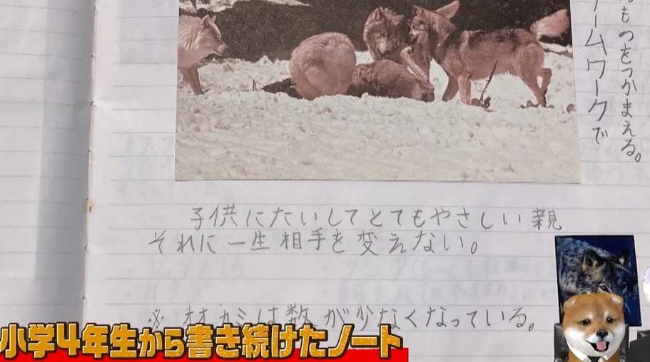 記事画像