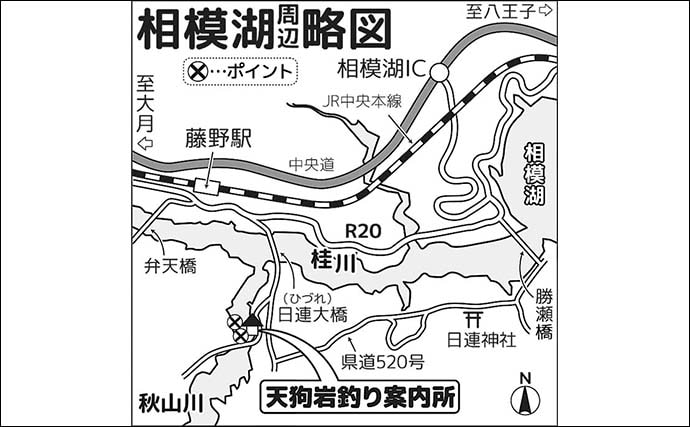 「寒風知らずの快適空間」ドーム船で12年ぶりのワカサギ釣り満喫【神奈川・相模湖】
