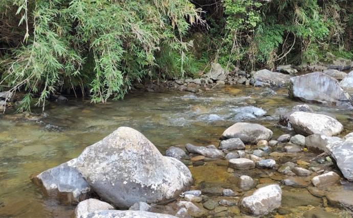 渓流エサ釣りの【年間釣行計画】のススメ　解禁期間を最大限楽しむために！