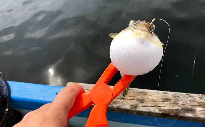 「釣りに目覚まし時計が必須？」 カカリ釣りであって良かったもの3選