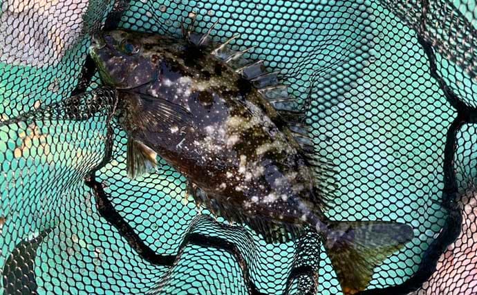 「釣りに目覚まし時計が必須？」 カカリ釣りであって良かったもの3選