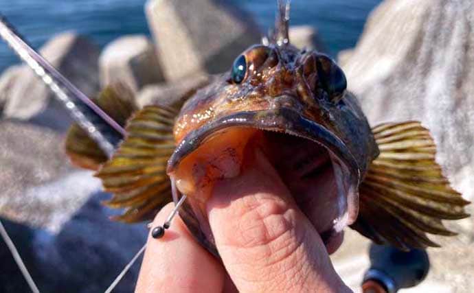 穴釣りは「風・潮位・潮回り」の海況チェックが大事なワケとは？　安全＆釣果に影響大