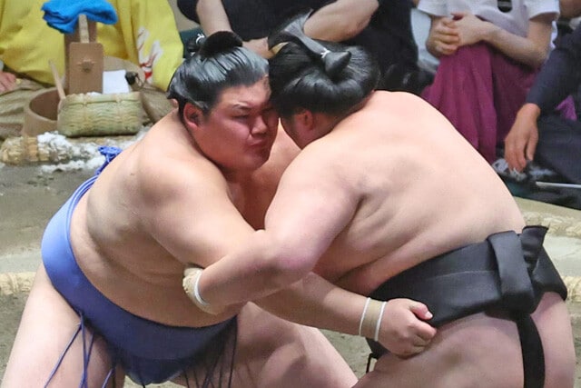小学校の頃から鍛え上げてきた強靱な下半身による立ち合い、そこから得意の「右四つ」に持ち込んで相手を制する