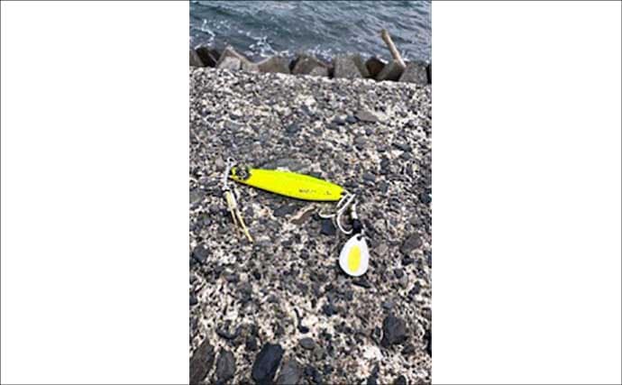 鞠山海遊パークでのショアジギングで48cmサゴシ（サワラ）釣れた！【福井】