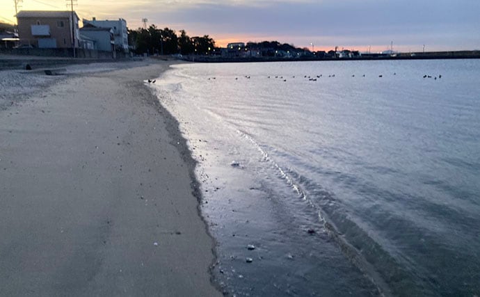 「自宅で魚を飼い始めたい！」 家族に理解してもらうための説明手順と方法とは？