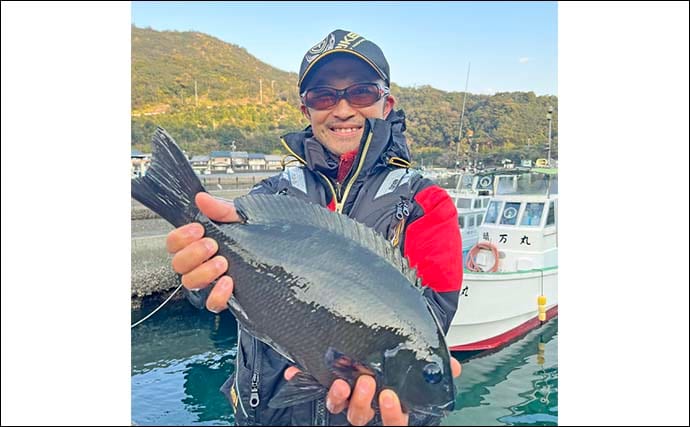方座浦の磯フカセ釣りで寒グレ好反応【三重】40cm超口太キャッチ連発