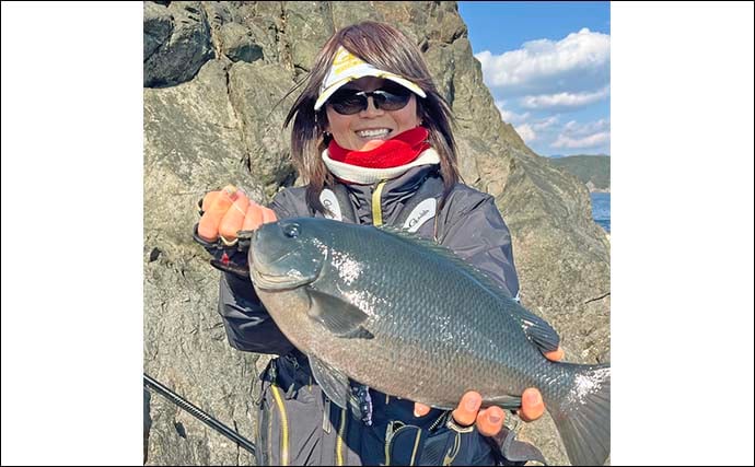方座浦の磯フカセ釣りで寒グレ好反応【三重】40cm超口太キャッチ連発