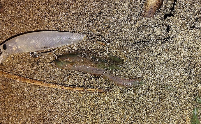 バチ抜けが発生しやすい場所（河川）3選　シーバス用オススメルアーも紹介