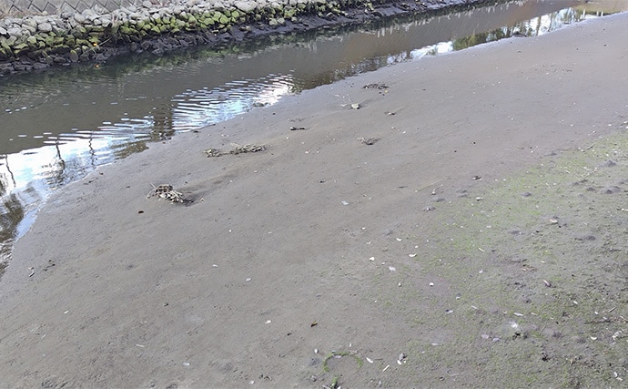 バチ抜けが発生しやすい場所（河川）3選　シーバス用オススメルアーも紹介