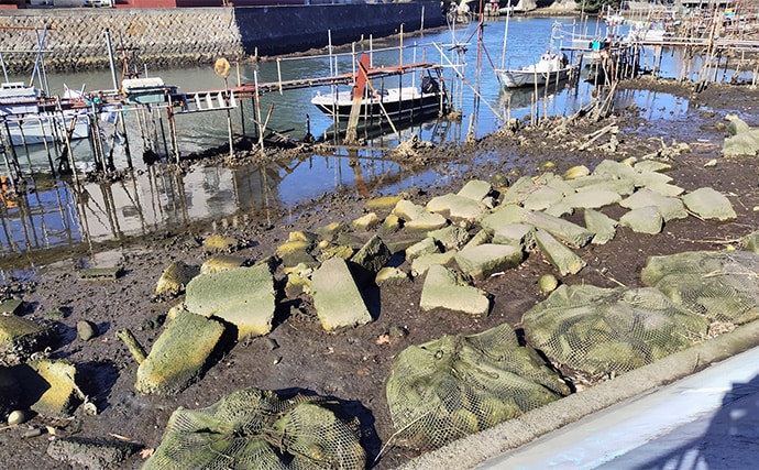 バチ抜けが発生しやすい場所（河川）3選　シーバス用オススメルアーも紹介