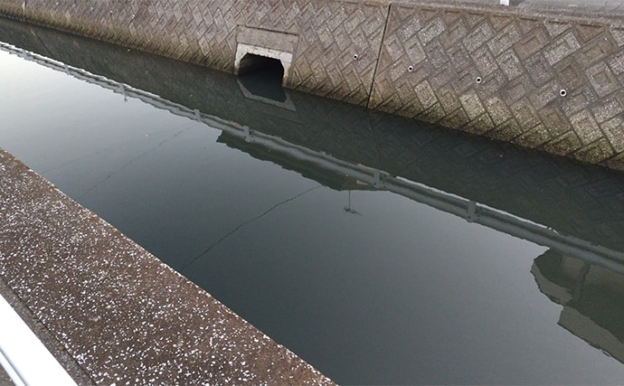 バチ抜けが発生しやすい場所（河川）3選　シーバス用オススメルアーも紹介