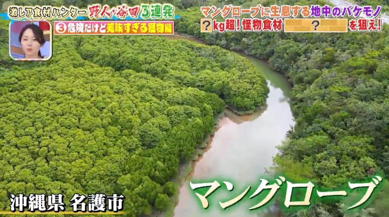 記事画像