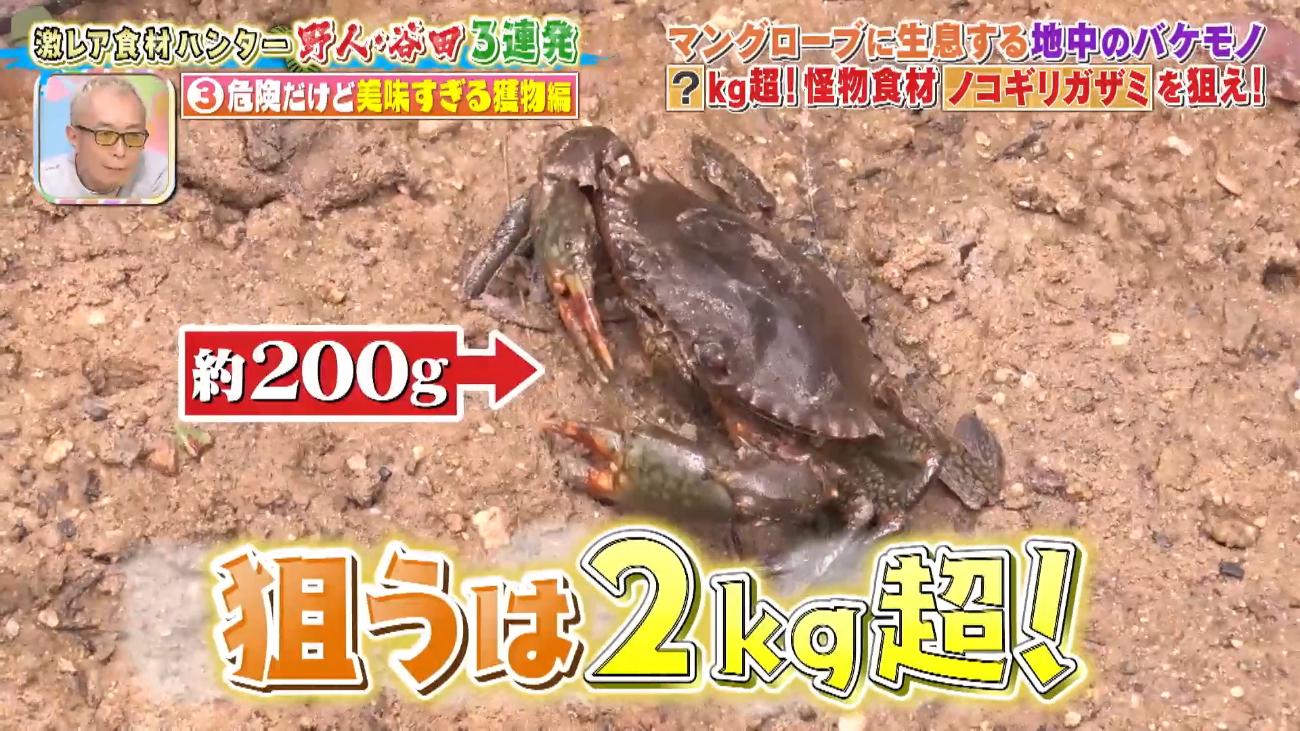 記事画像