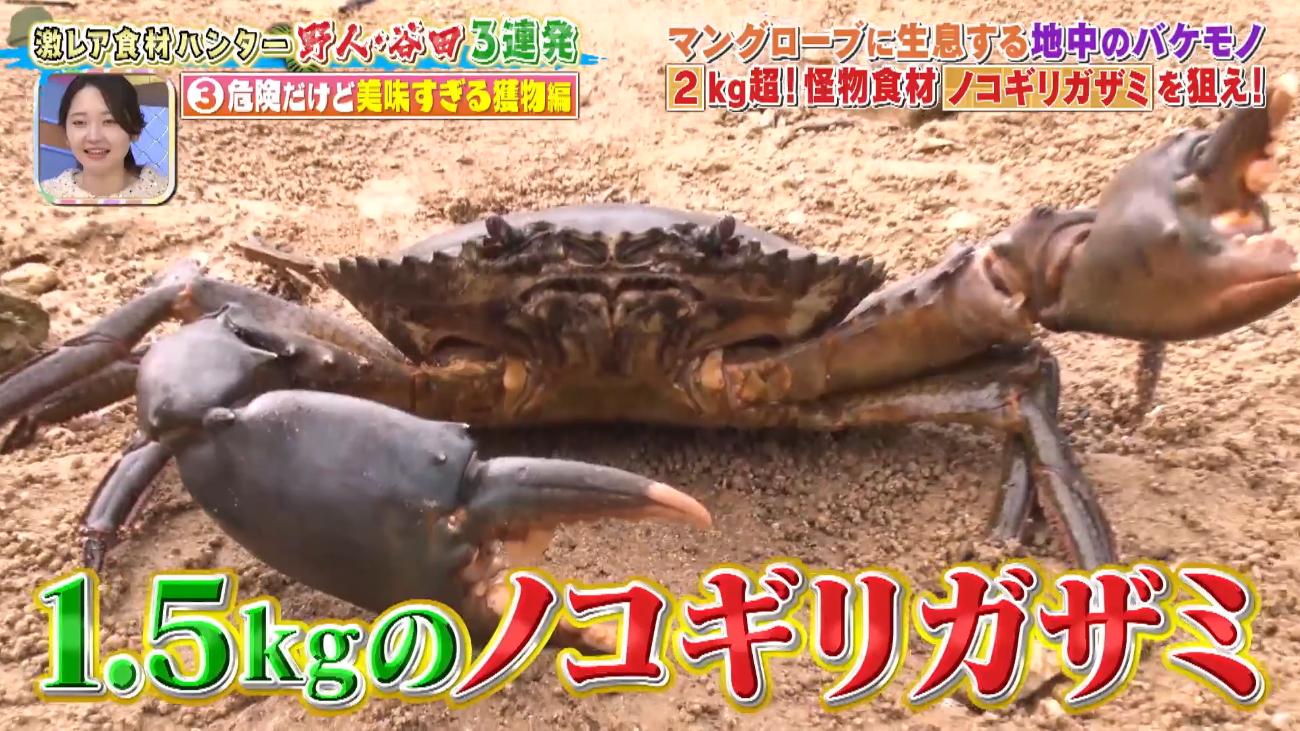 記事画像
