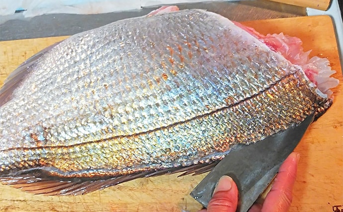 釣魚で作る「上品な味わい」レシピ:紅葉ダイの若狭焼き 優しいだしが決め手